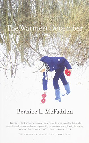 The Warmest December - Click to Buy