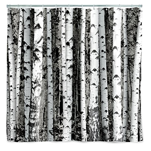 Kikkerland Shower Curtain, Polyester, Birch 72.00" x 0.13" - Click to Buy