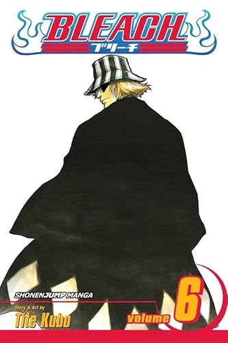 Bleach, Vol. 6: The Death Trilogy Overture
