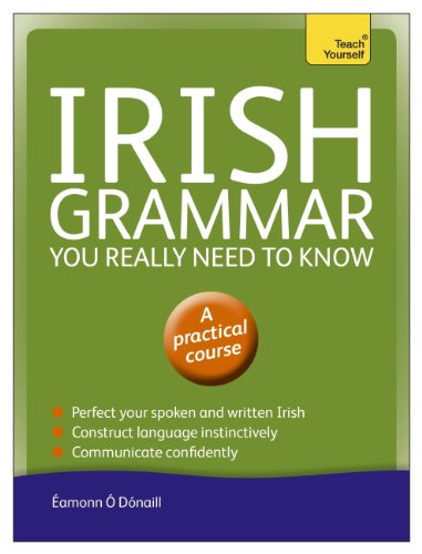 Irish Grammar You Really Need to Know: Teach Yourself - Click to Buy