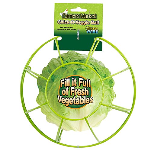 Chicken WARE Chick-N-Veggie Ball by Chicken Ware