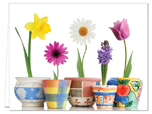 Note Card Cafe All Occasion Greeting Cards with White Envelopes | 36 Pack | Bloom Where You're Planted Design | Blank Inside, Glossy Finish | for Greeting Cards, Occasions, Birthdays - Click to Buy