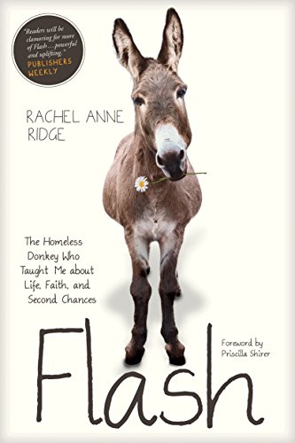 Flash: The Homeless Donkey Who Taught Me about Life, Faith, and Second Chances (Flash the Donkey) (English Edition) - Click to Buy