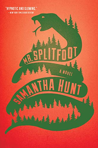 Mr. Splitfoot: A Novel (English Edition) - Click to Buy