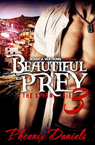 Beautiful Prey 3: The Storm Series: BWWM Romance (English Edition) - Click to Buy
