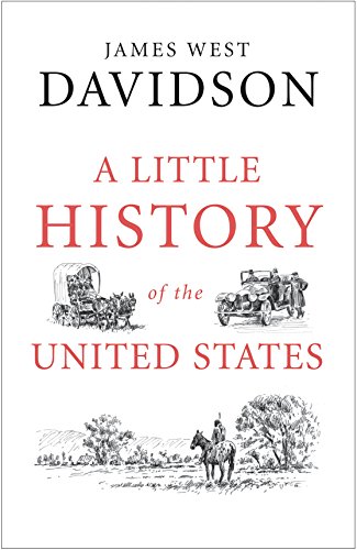 A Little History of the United States (Little Histories) - Click to Buy