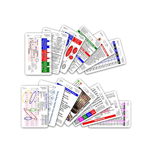 Scrubs and Stuff LLC Complete EMS Vertical Badge Card Set - 13 Cards - Click to Buy