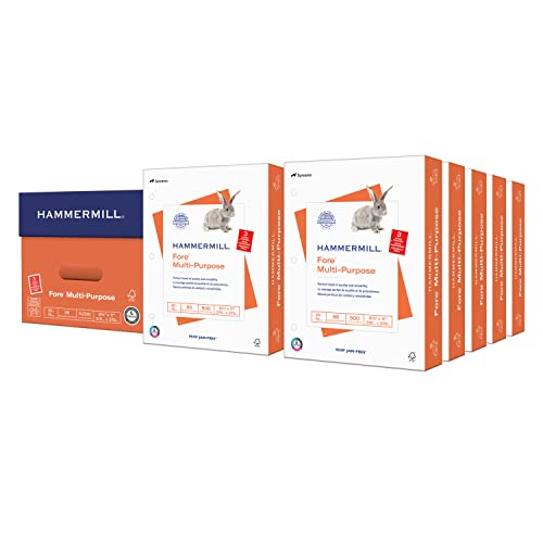 Hammermill Printer Paper, Fore Multipurpose 20 lb Copy Paper, 3 hole - 10 Ream (5,000 Sheets) - 96 Bright, Made in the USA