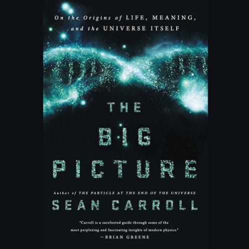 The Big Picture: On the Origins of Life, Meaning, and the Universe Itself - Click to Buy