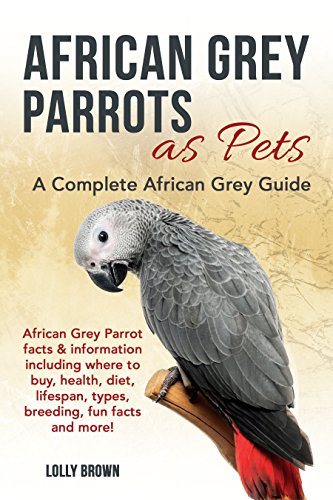 African Grey Parrots as Pets: African Grey Parrot facts & information including where to buy, health, diet, lifespan, types, breeding, fun facts and more! A Complete African Grey Guide - Click to Buy