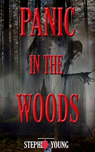 PANIC IN THE WOODS: Unexplained Disappearances & Mysterious Deaths; Creepy Unexplained Mysteries - Click to Buy