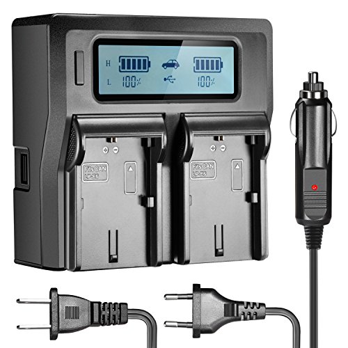 Neewer Dual LCD Battery Charger for Canon LP-E6 Batteries Compatible with Canon 7D 6D 5D II III 5Ds R 70D 60D 6D a 80D(US Plug + EU Plug + Car Charger Adapter) - Click to Buy