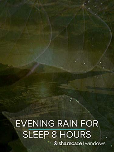 Evening Rain for Sleep 8 hours - Click to Buy