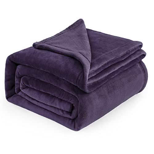 Bedsure Fleece Blanket Queen Blanket Purple - Bed Blanket Soft Lightweight Plush Fuzzy Cozy Luxury Microfiber, 90x90 inches - Click to Buy
