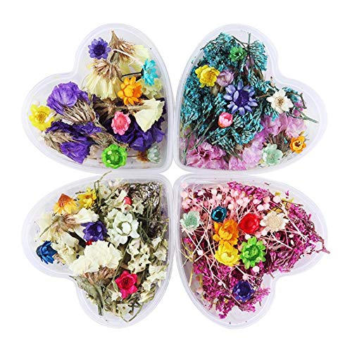NICOLE DIARY 4 Boxes Dry Flower Nail Art DIY Preserved Flower Decorations With Heart-Shaped Box Nail Art Decoration - Click to Buy