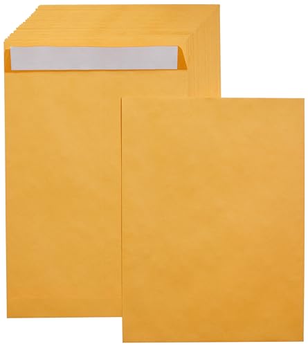 Amazon Basics Catalog Mailing Envelopes, Peel & Seal, 9x12 Inch, Brown Kraft, 100-Pack - AMZP13 - Click to Buy