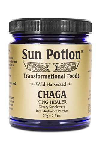 Chaga Mushroom Powder 70g Jar by Sun Potion - Wild Harvested, Organic, Raw Extract Superfood - Antioxidant Rich, Natural Immune Support, Detoxify The Body - Click to Buy