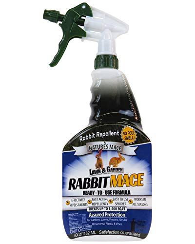 Nature’s Mace Rabbit MACE, Rabbit Repellent Spray, Covers 1,400 Sq. Ft., Rabbit Deterrent, Keep Rabbits Out of Garden, Lawn, Rabbit Repellent Outdoor, Peppermint Spray, Use Around Pets, People, Plants - Click to Buy