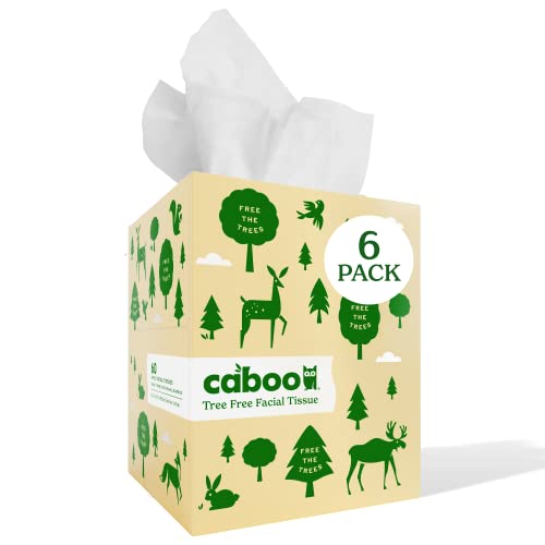 Caboo Tree Free Facial Tissue Paper, Tissue Box with 60 Sheets Per Cube, Total of 6 Cubes, 360 Total Tissues