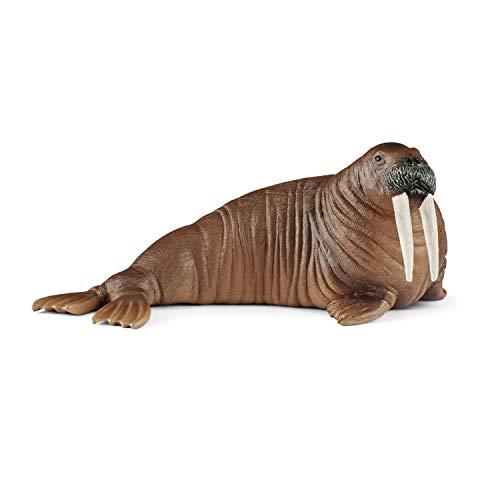 Schleich Wild Life, Animal Figurine, Animal Toys for Boys and Girls 3-8 Years Old, Walrus - Click to Buy