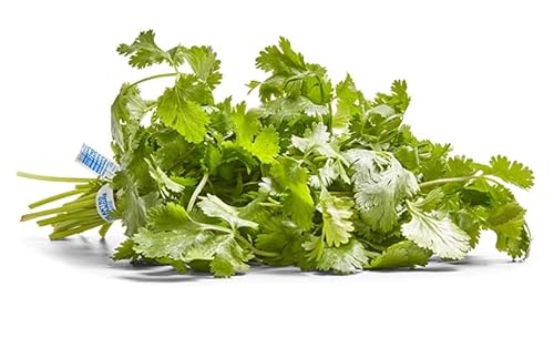 Herb Cilantro Organic, 1 Bunch - Click to Buy