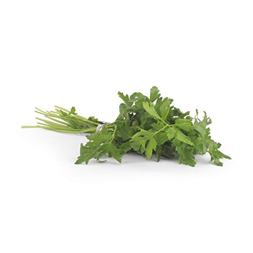 Herb Parsley Italian Conventional, 1 Bunch - Click to Buy
