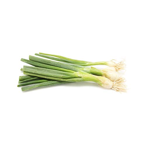 Green Onion (Scallions) Organic, 1 Bunch - Click to Buy