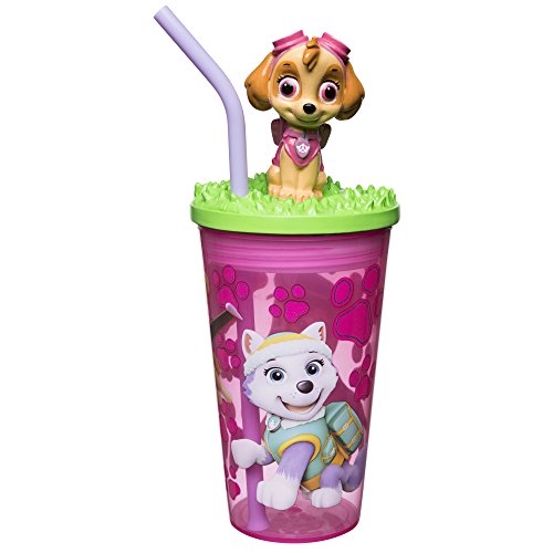 Zak Designs 15oz Paw Patrol Girl Funtastic Tumbler with Straw and Unique 3D Character On Lid - Sculpted Design Stands Out, Screw-on Lid with Durable Straw Keeps Liquids in, Paw Patrol Girl F - Click to Buy