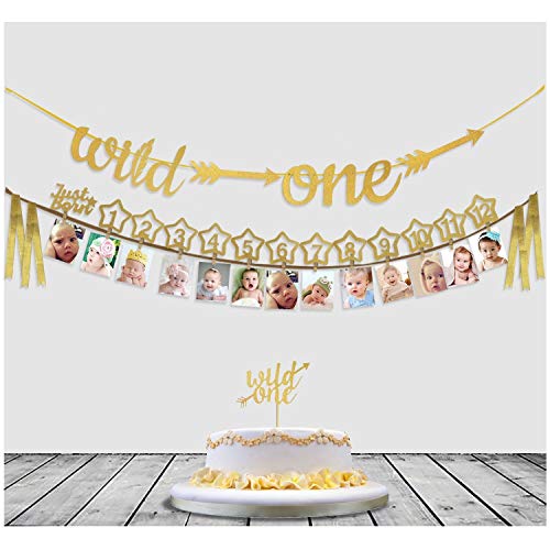Baby's 1st Birthday Decorations- 12 Month Photo Banners,Wild One Birthday Banners,Wild One Cupcake Topper,the Wild One Party Supplies (wild one) (Gold) - Click to Buy