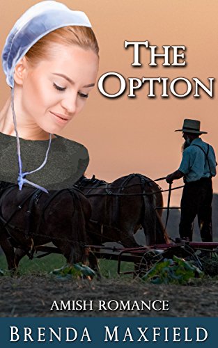 The Option (Ruby's Story Book 2)