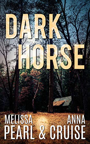 Dark Horse: Small-Town Romantic Suspense (Aspen Falls Novel Book 3) - Click to Buy