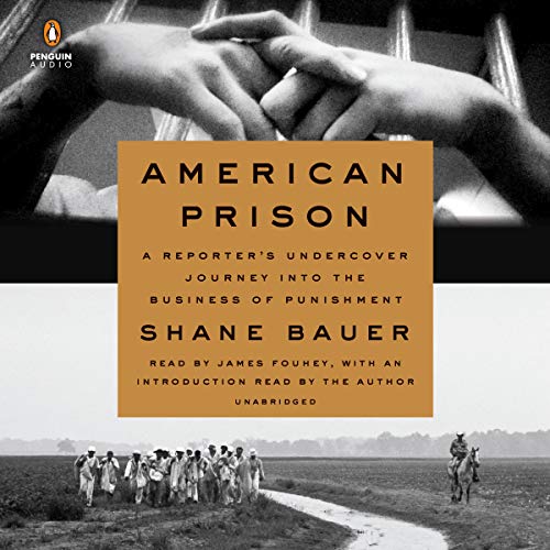 American Prison: A Reporter's Undercover Journey into the Business of Punishment - Click to Buy