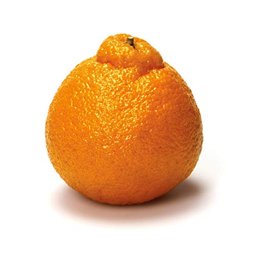 Dekopon Mandarin, 1 Each - Click to Buy