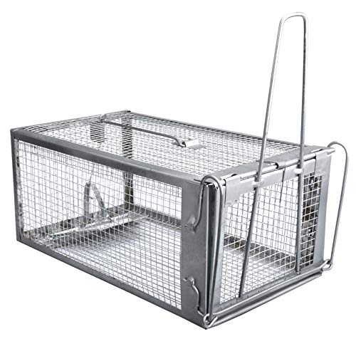 Gingbau Live Chipmunk Trap Humane Rat Mouse Cage Trap - Click to Buy