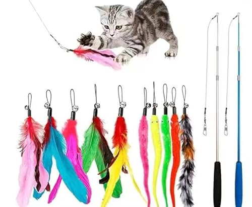 JIARON Cat Toys Feather Toy, 2PCS Retractable Wand and 10PCS Replacement Teaser with Bell Refills, Interactive Catcher and Funny Exercise for Kitten. - Click to Buy
