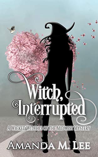 Witch, Interrupted (Wicked Witches of the Midwest Book 13) - Click to Buy