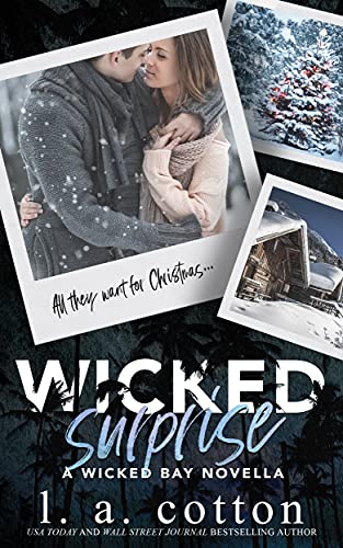 Wicked Surprise: A Wicked Bay Novella - Click to Buy
