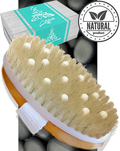 Cellulite-Massagegerät für trockene Bürste, für das Bad und Spa mit natürlichen Wildschweinborsten, entfernt abgestorbene Haut und Toxine - Click to Buy