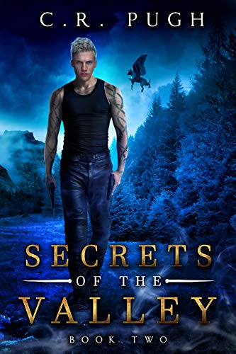 Secrets of the Valley (Old Sequoia Valley Book 2) - Click to Buy