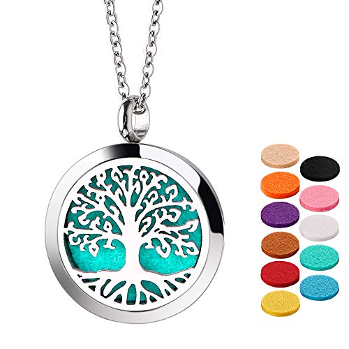Home-Cloud Essential Oil Necklace Diffuser Necklace Stainless Steel Not Fade Gift Set for Women and Girls - Click to Buy
