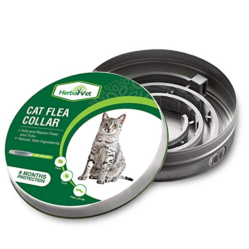 HerbalVet Cat Flea Collar for Flea and Tick Treatment and Prevention Version - Click to Buy