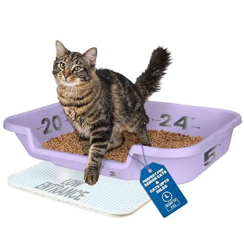 Kitty Go Here Senior Katzentoilette für Katzen, die mit einer traditionellen Katzentoilette nicht zurecht kommen können.Storybook Lavendelfarbe siehe Foto von Maßen.Kein Deckel erhältlich USA - Click to Buy