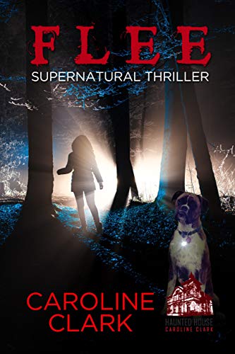 Flee: Supernatural Thriller - Click to Buy