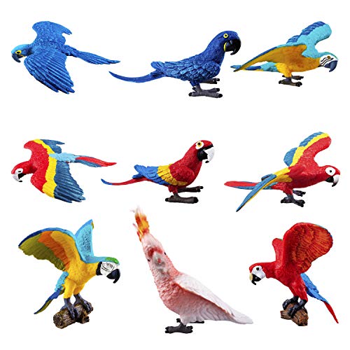 TOYMANY 9PCS Realistic Parrot Birds Figurines, 2-4" Plastic Macaw Animals Figures Set Includes Cockatoo,Scarlet Macaw, Educational Toy Cake Toppers Christmas Birthday Gift for Kids Toddlers - Click to Buy