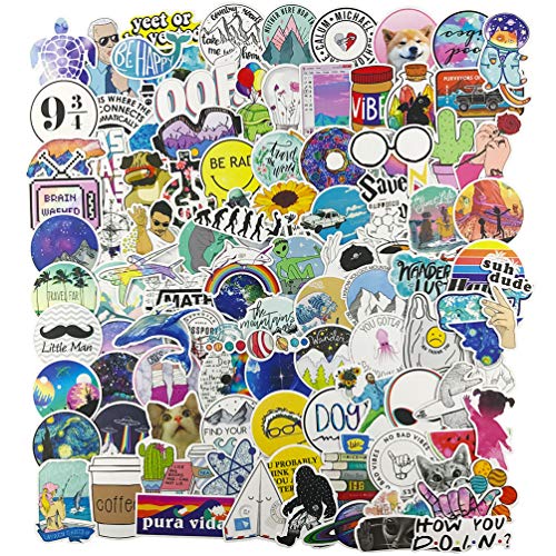 Stickers for Water Bottle, Big 100-Pack Cute Vinyl Trendy Sticker for Teen Girl, Fashion Decal for Laptop Phone Travel Case Skateboard - Click to Buy