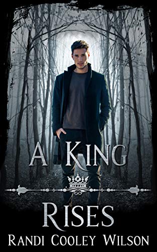 A King Rises Novella: The Royal Protector Academy Series - Click to Buy