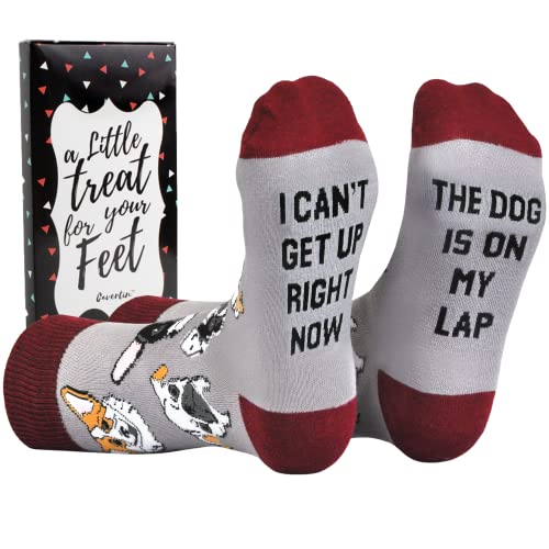 Cavertin Chaussettes fantaisie pour femme avec boîte cadeau, chien, taille unique - Click to Buy