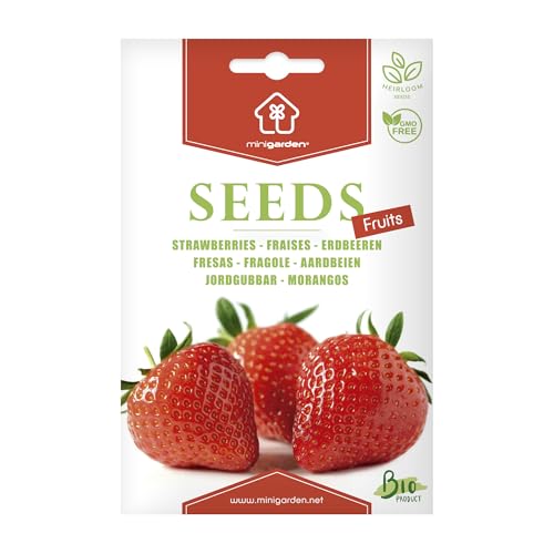 Organic Premium Strawberry Seeds by Minigarden – 100% Natural & Non-GMO, High Germination, Open-Pollinated & Reproducible – Ideal for Home Gardens & Farms – 300-340 Seeds - Click to Buy