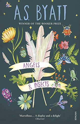 Angels And Insects - Click to Buy