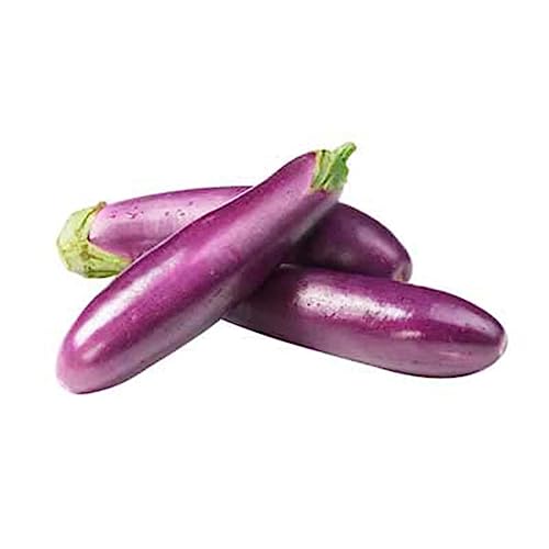 Veenas Sri Lankan Brinjal |1KG | 100% Fresh Vegetable | Srilakan Origin - Click to Buy
